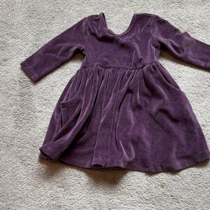 Ruffle Butts Velvet Purple Dress